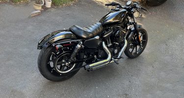 Harley_XL low